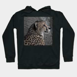 Cheetah Hoodie